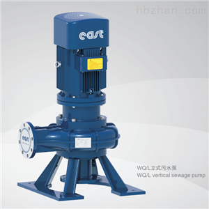 立式污水泵
