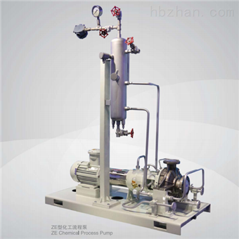 ZE化工流程泵